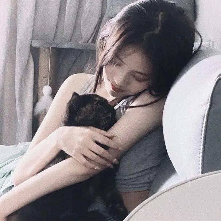 莫西干回到故乡